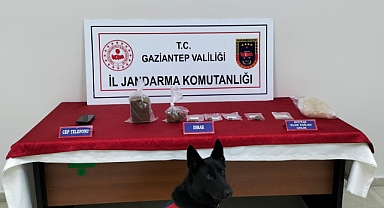 Jandarmadan dev operasyon: 57 gözaltı