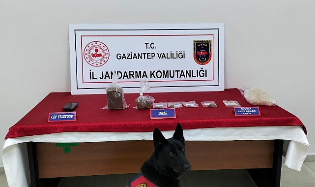 Jandarmadan dev operasyon: 57 gözaltı