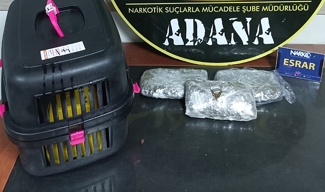 Kedi kafesinde uyuşturucu sevkiyatı
