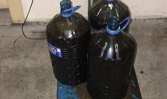 Sarp Sınır Kapısı’nda kaçak bal operasyonu