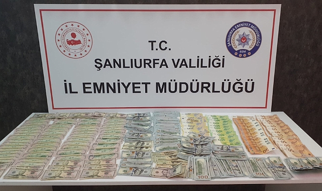 Urfa'da yüklü miktarda döviz ele geçirildi