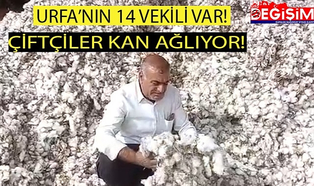 Urfalı çiftçinin yürek yakan konuşması!