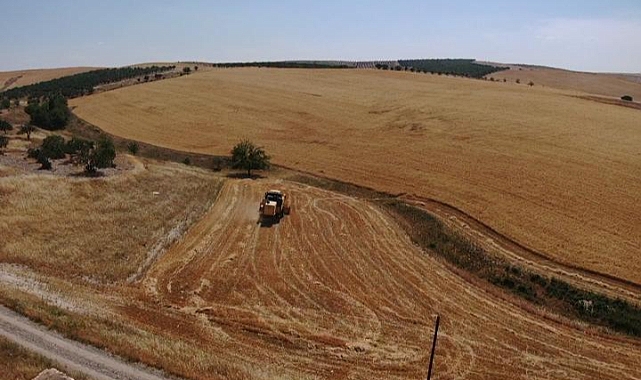 Vatandaşın meraya ektiği arpayı, kaymakamlık hasat etti