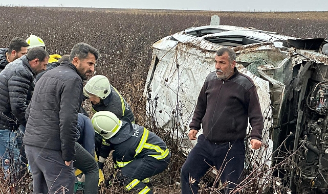 Otomobil pamuk tarlasına uçtu: 1 yaralı