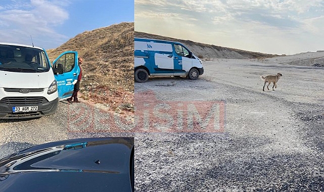 Bozova Belediyesi kaş yaparken göz çıkardı!