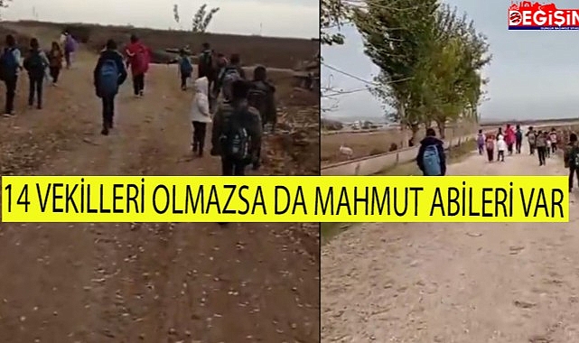 Tanal'dan Milli Eğitim Bakanlığına çağrı!