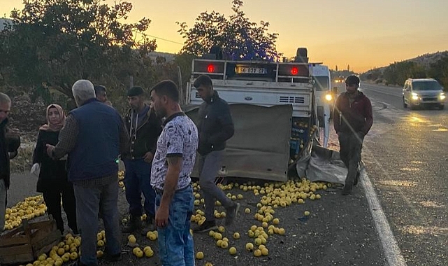 Tekeri patlayan elma yüklü kamyonet devrildi