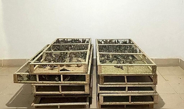 Bin adet saka kuşu bulunduran şahsa 1 milyon 200 bin lira ceza