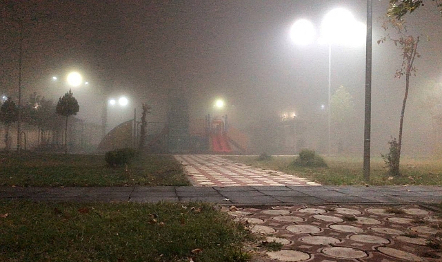 Ceylanpınar’da sis ulaşımı olumsuz etkiledi
