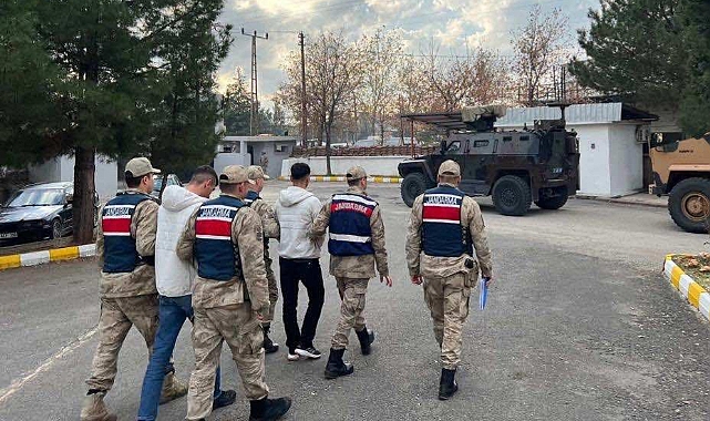 Diyarbakır’da büyükbaş hayvan hırsızları tutuklandı