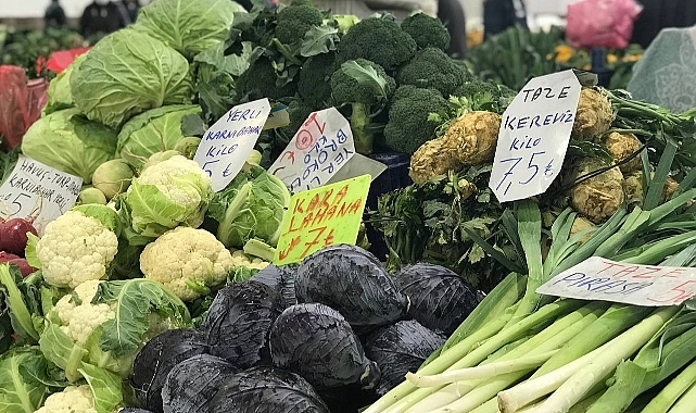 Gripten korunmanın doğal yolu