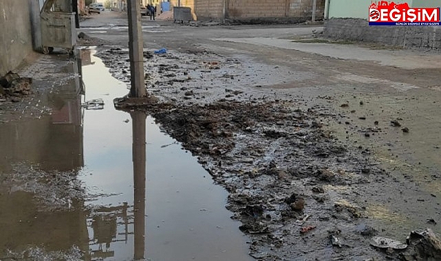 Kanalizasyon patladı mahalle sular içinde kaldı!