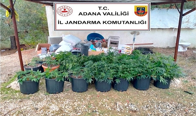 Kiraladıkları villada iklimlendirme sistemiyle kenevir yetiştirmişler