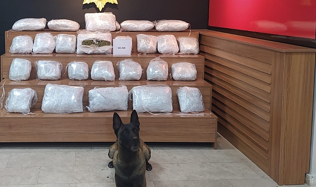 Şanlıurfa’da 21 kilo 550 gram skunk ele geçirildi
