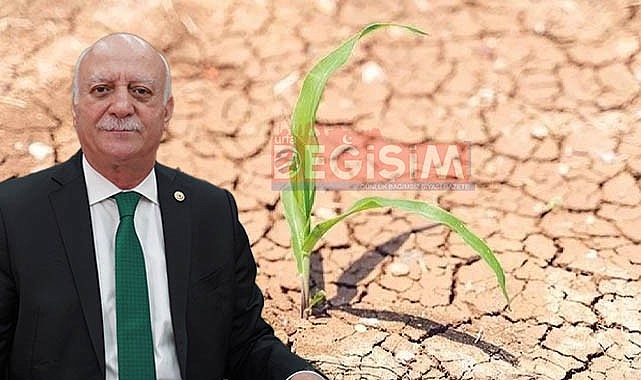 Toprak kaybının en yüksek olduğu iller arasında Şanlıurfa'da var
