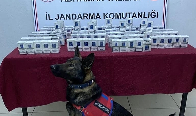 Jandarma kaçak sigara ele geçirdi