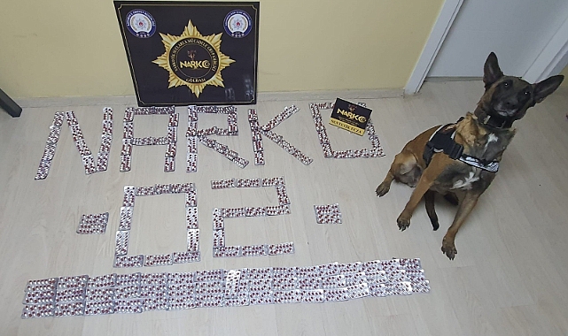 Narkotik ekipleri uyuşturucuya geçit vermiyor