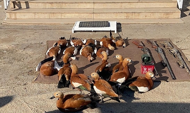 Siverek'te kaçak avcılık yapan 3 kişiye para cezası verildi