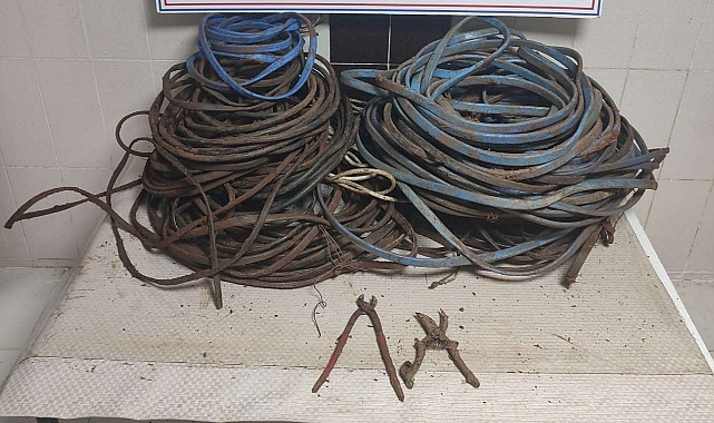 Elektrik kablolarını çalan 2 şahıs yakalandı