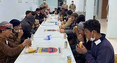 Şanlıurfa'da çok sayıda kaçak göçmen yakalandı