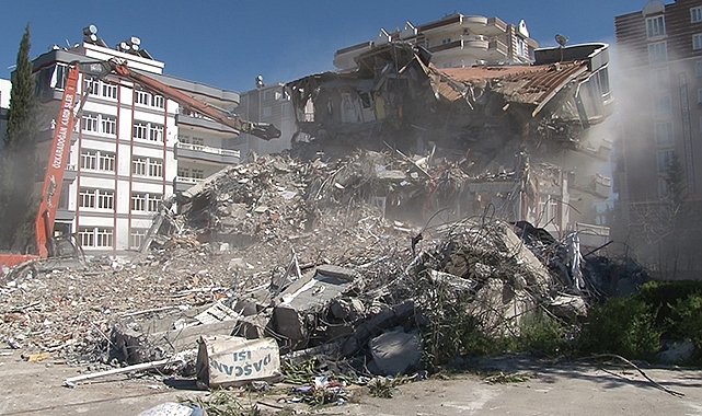 Enkaz altındaki kediler kurtarıldı