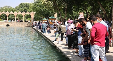 Erkeklerde evlenme yaşının en düşük olduğu il Şanlıurfa oldu