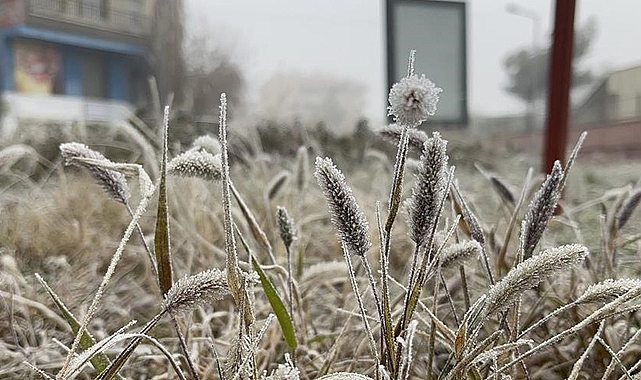 Meteorolojiden Diyarbakır için ‘zirai don’ uyarısı