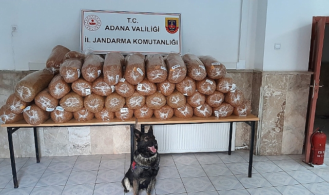 925 kilogram kaçak tütün ele geçirildi