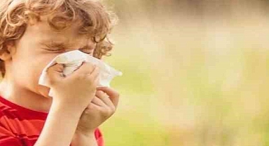 Alerjik çocuklar için 14 öneri