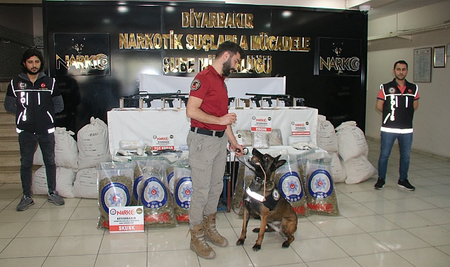 Kökünü Kurutma Operasyonu: 215 gözaltı