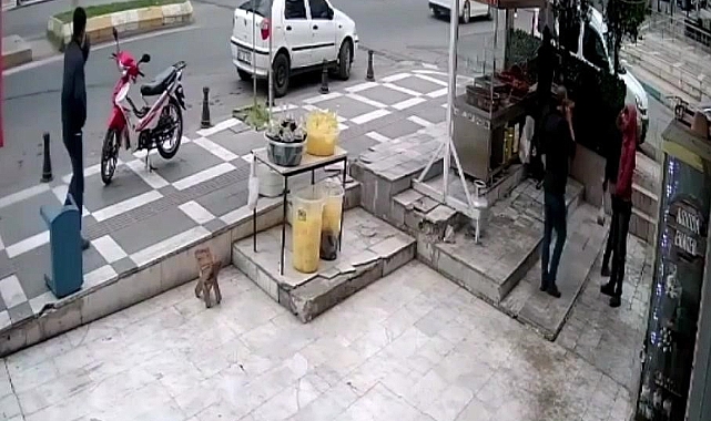 Şanlıurfa'da binadan hırsızlık yapan 2 zanlı tutuklandı