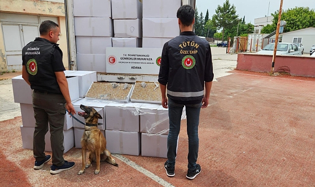 1 milyon 125 bin kaçak makaron ele geçirildi