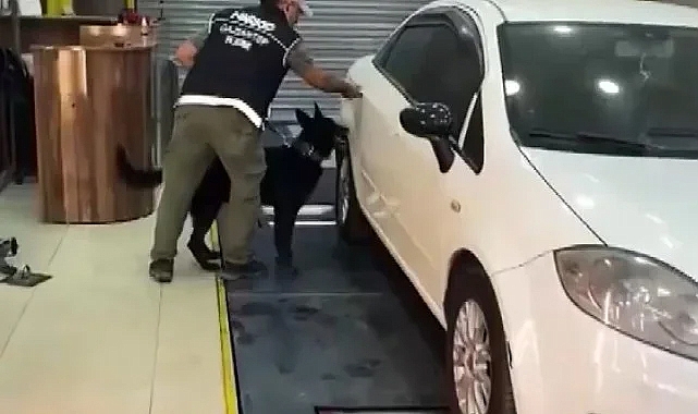 Dev uyuşturucu operasyonu