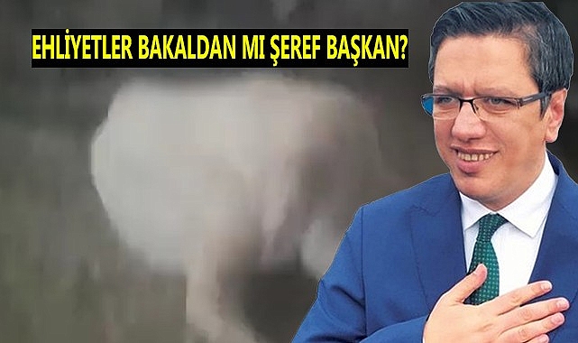 Halfeti Belediyesiyle ilgili çarpıp kaçtı iddiası!