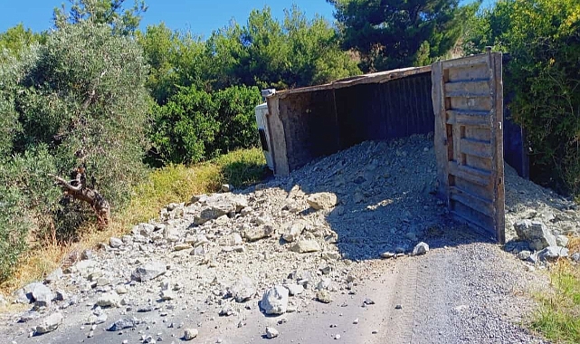 Freni tutmayan kamyon devrildi: 1 yaralı