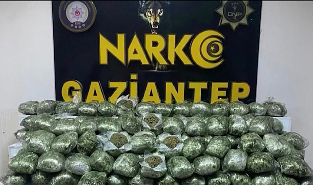 Gaziantep'te 80 kilo skunk ele geçirildi