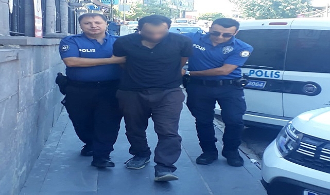 Kedileri bıçaklayarak öldüren şahıs tutuklandı