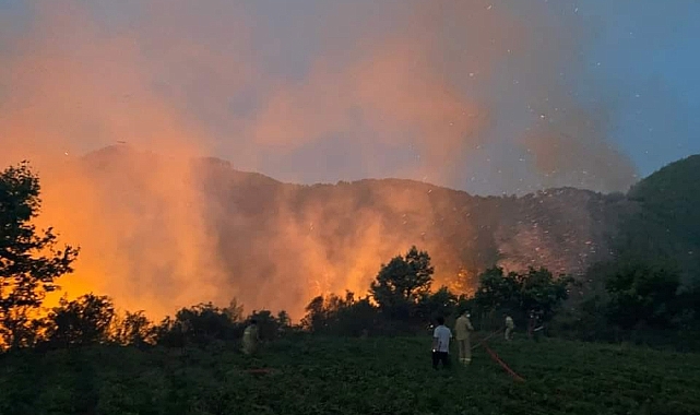 Mersin'de orman yangını havadan ve karadan müdahale ile kontrol altına alındı