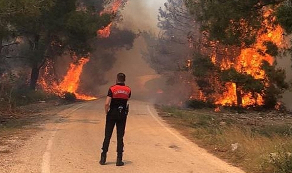 Şanlıurfa’da orman yangın