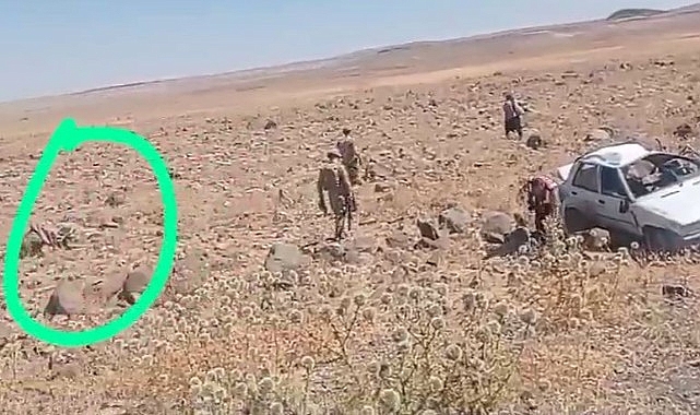 Şanlıurfa-Diyarbakır karayolunda feci kaza: 1 Ölü