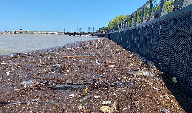 Yağmur sonrası çöp ve odun parçaları limanda toplandı
