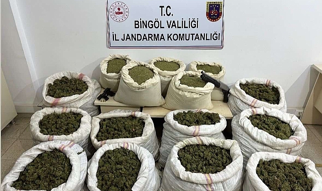 11 milyon kök kenevir ve 163 kilo toz esrar ele geçirildi