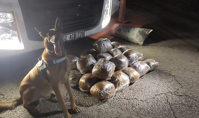 Arpa yüklü tırda 40 kilo skunk ele geçirildi