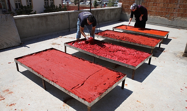 Biber salçası mesaisi başladı