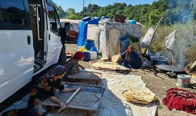Fındık toplamaya giden Urfalı işçiler konteyner istiyor