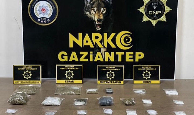 Gaziantep'te 25 kök kenevir ele geçirildi