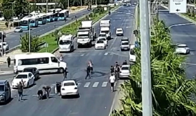 İki otomobil çarpıştı: 1'i bebek 5 yaralı