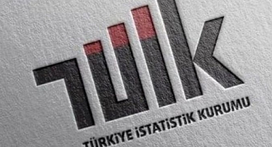 İnternete erişim imkanı olan hane oranı yüzde 95,5 oldu