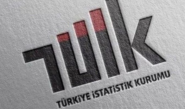 İnternete erişim imkanı olan hane oranı yüzde 95,5 oldu