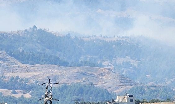 Kahramanmaraş'ta orman yangını